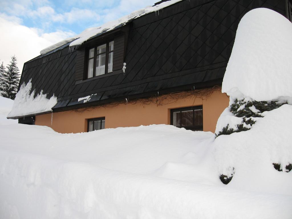 V Soukromi Razlovi Appartement Harrachov